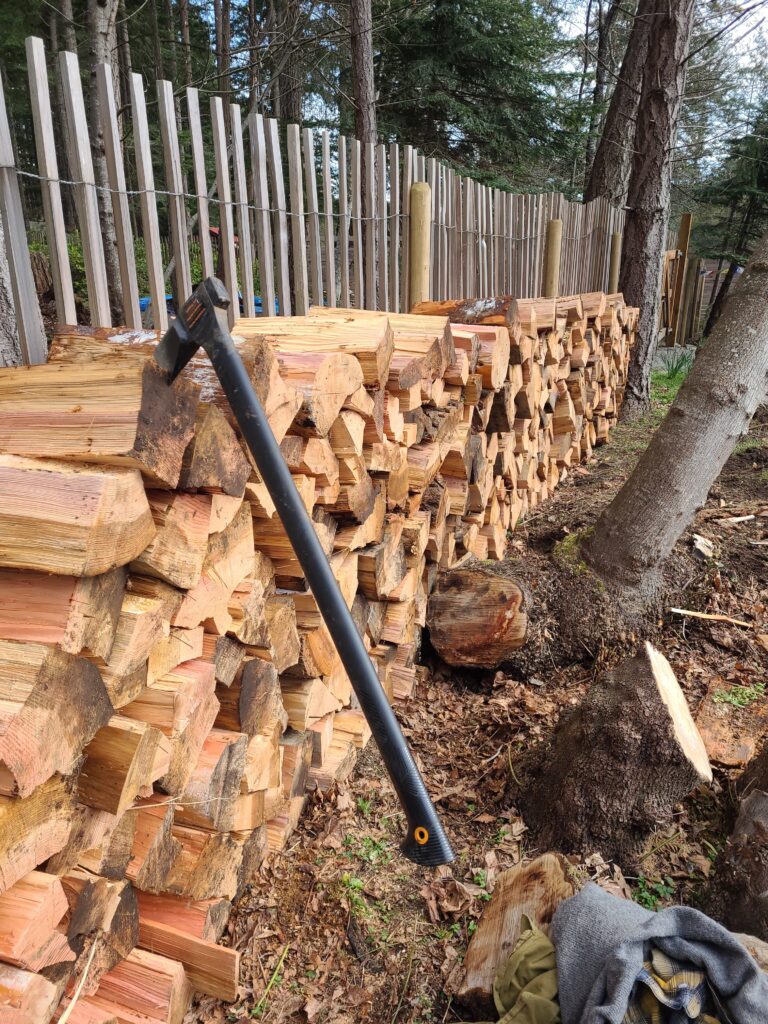 IMG_20220316_142012-2