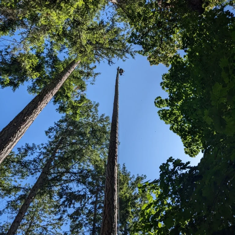 IMG_20230525_213004_706