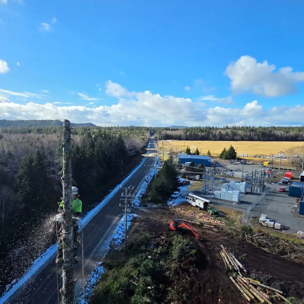 Technical tree rigging and hazard removal in the rugged terrain of Haida Gwaii, BC.